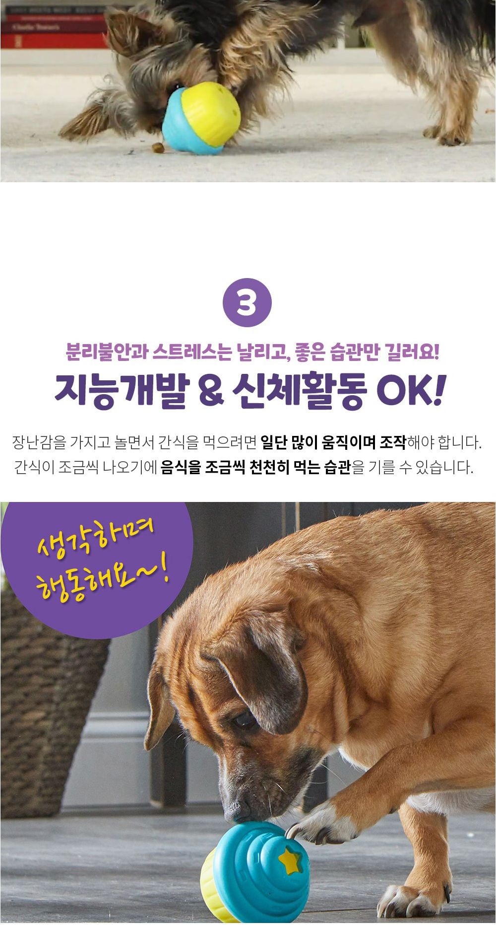 브라이트킨즈 노즈워크 장난감 컵케이크 스몰 LER9373/강아지노즈워크/강아지훈련용품/강아지교육용품/노즈
