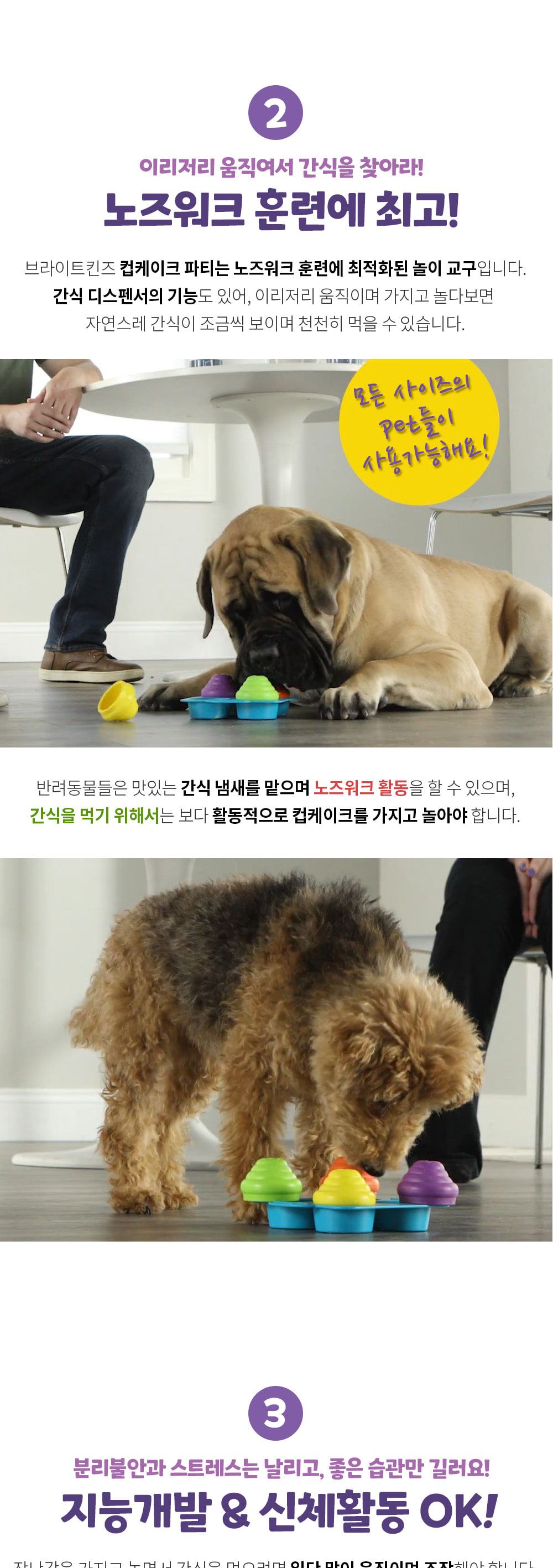 브라이트킨즈 노즈워크 장난감 컵케이크 파티 LER9365/강아지노즈워크/강아지훈련용품/강아지교육용품/노즈