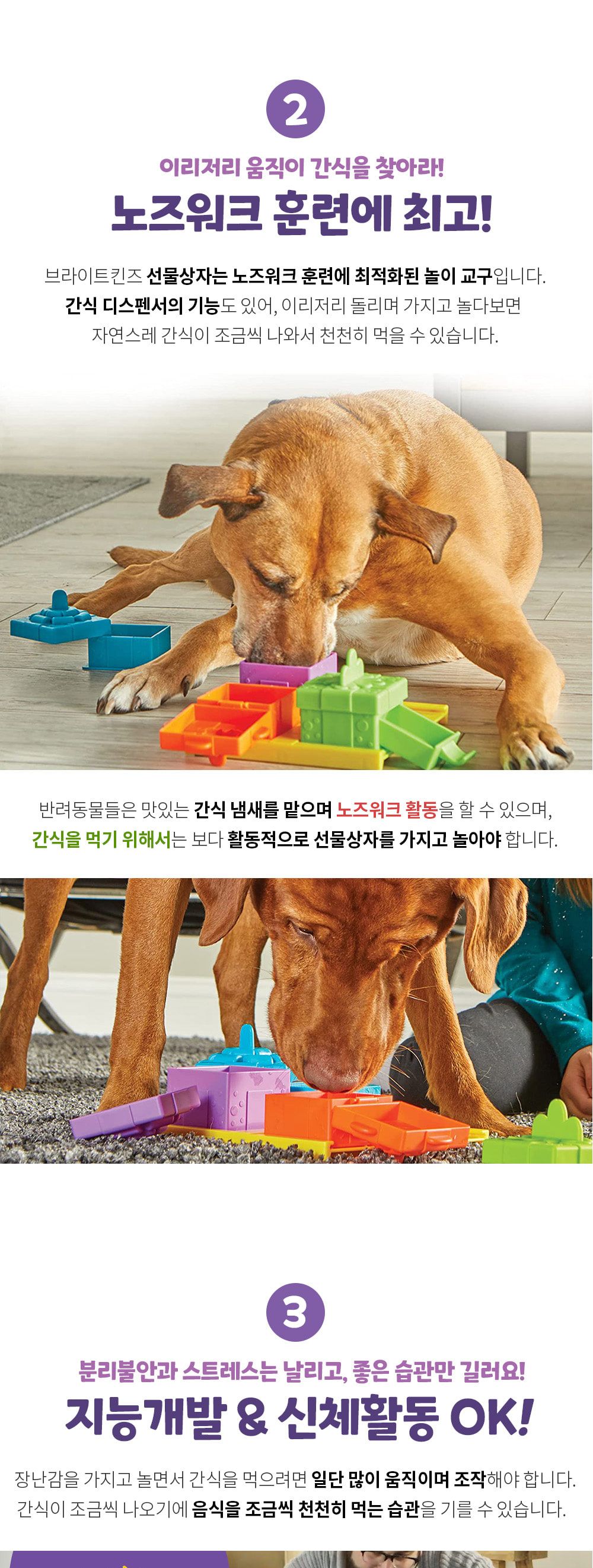 브라이트킨즈 노즈워크 장난감 선물상자 LER9366/강아지노즈워크/강아지훈련용품/강아지교육용품/노즈워크/