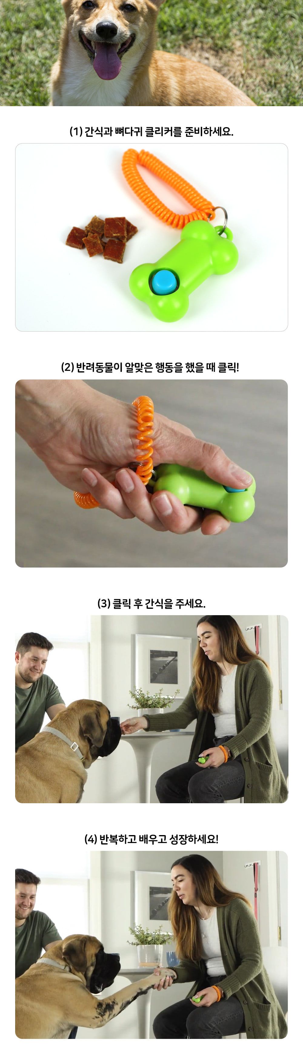 브라이트킨즈 뼈다귀 클리커 강아지 용품 LER9380/강아지노즈워크/강아지훈련용품/강아지교육용품/노즈워크