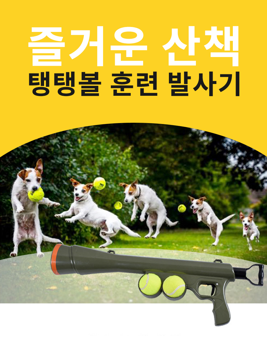 반려동물 탱탱볼 강아지 훈련 발사기 애견 장난감/애견훈련/강아지훈련/탱탱볼/강아지탱탱볼/강아지훈련/강