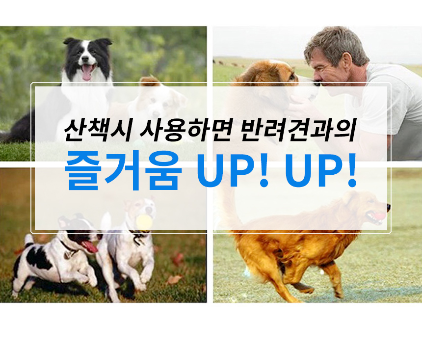 반려동물 탱탱볼 강아지 훈련 발사기 애견 장난감/애견훈련/강아지훈련/탱탱볼/강아지탱탱볼/강아지훈련/강