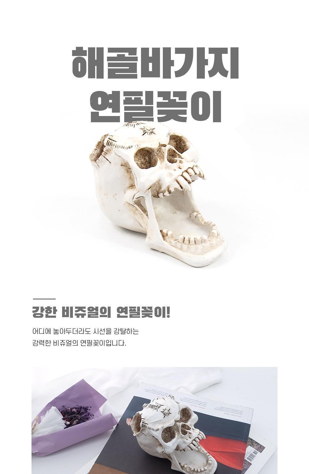 해골바가지 연필꽂이 정리용품 펜꽂이 수납용품 포인트아이템 다용도꽂이