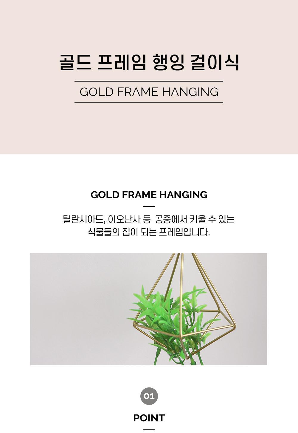 골드 프레임 행잉 걸이식 걸이소품 장식품 프레임장식 식물장식 벽걸이장식 천장장식 인테리어소품 데코용품 포인트장식 다이아몬드프레임