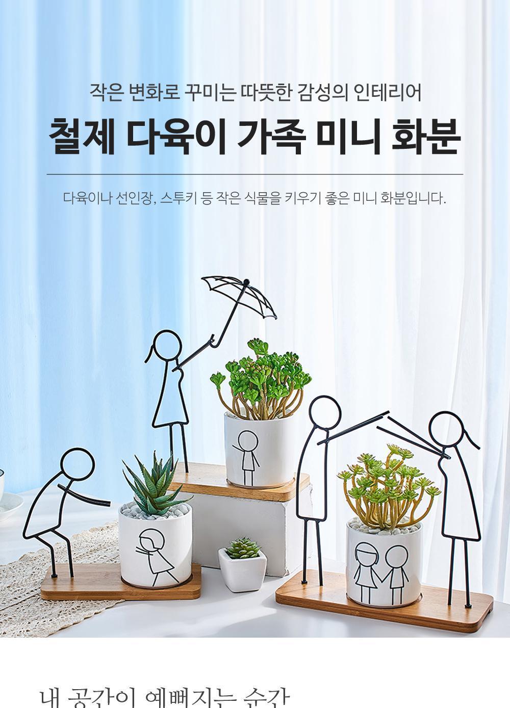 철제 다육이 가족 화분 미니화분 다육식물 다육이 인테리어 디자인화분 원예 디자인소품 데코 도자기화분 선인장화분