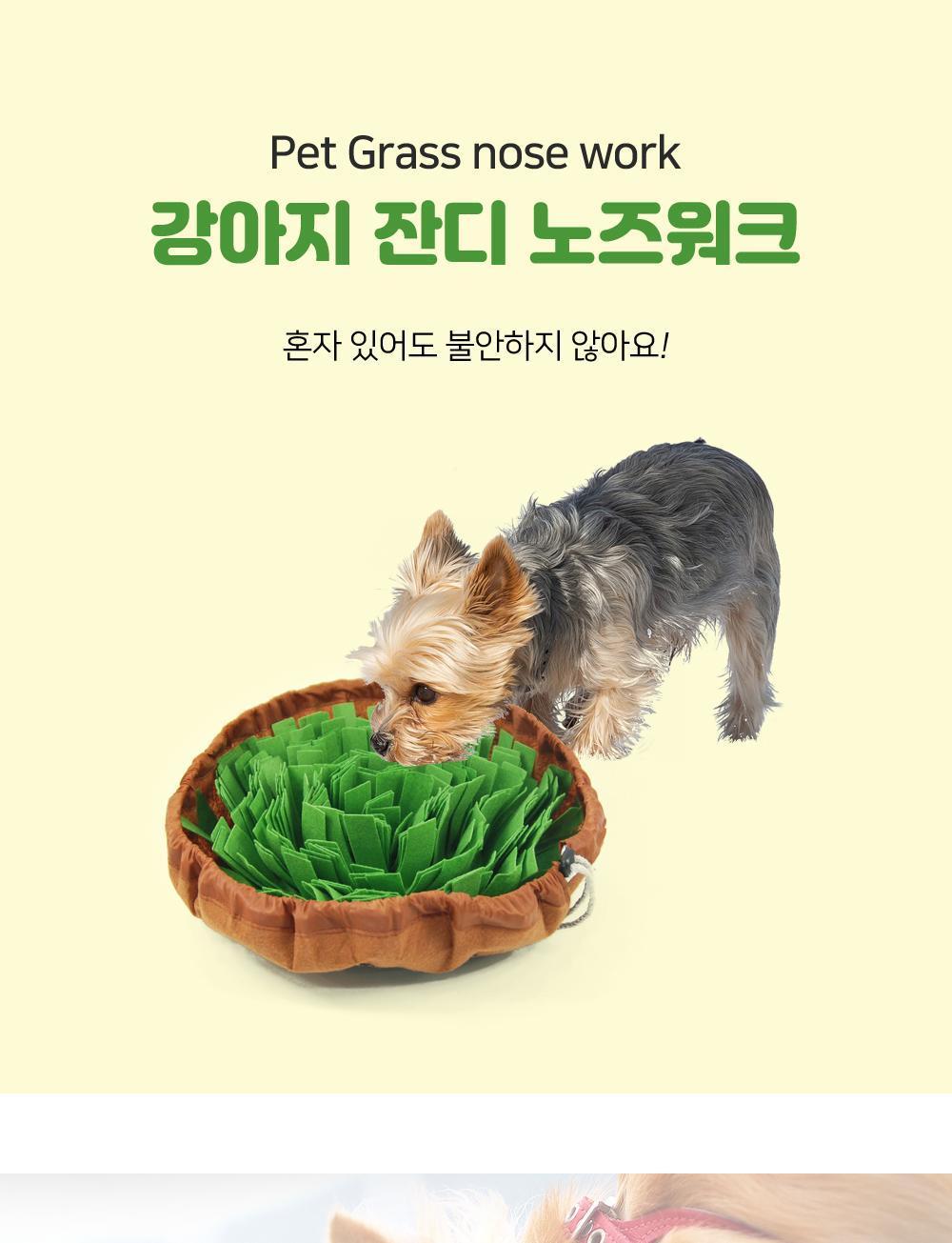 잔디 노즈워크 강아지장난감 강아지훈련용품 노즈워크 잔디노즈워크 반려동물장난감 반려견장난감 후각발달장난감 후각훈련장난감 반려동물훈련 강아지훈련