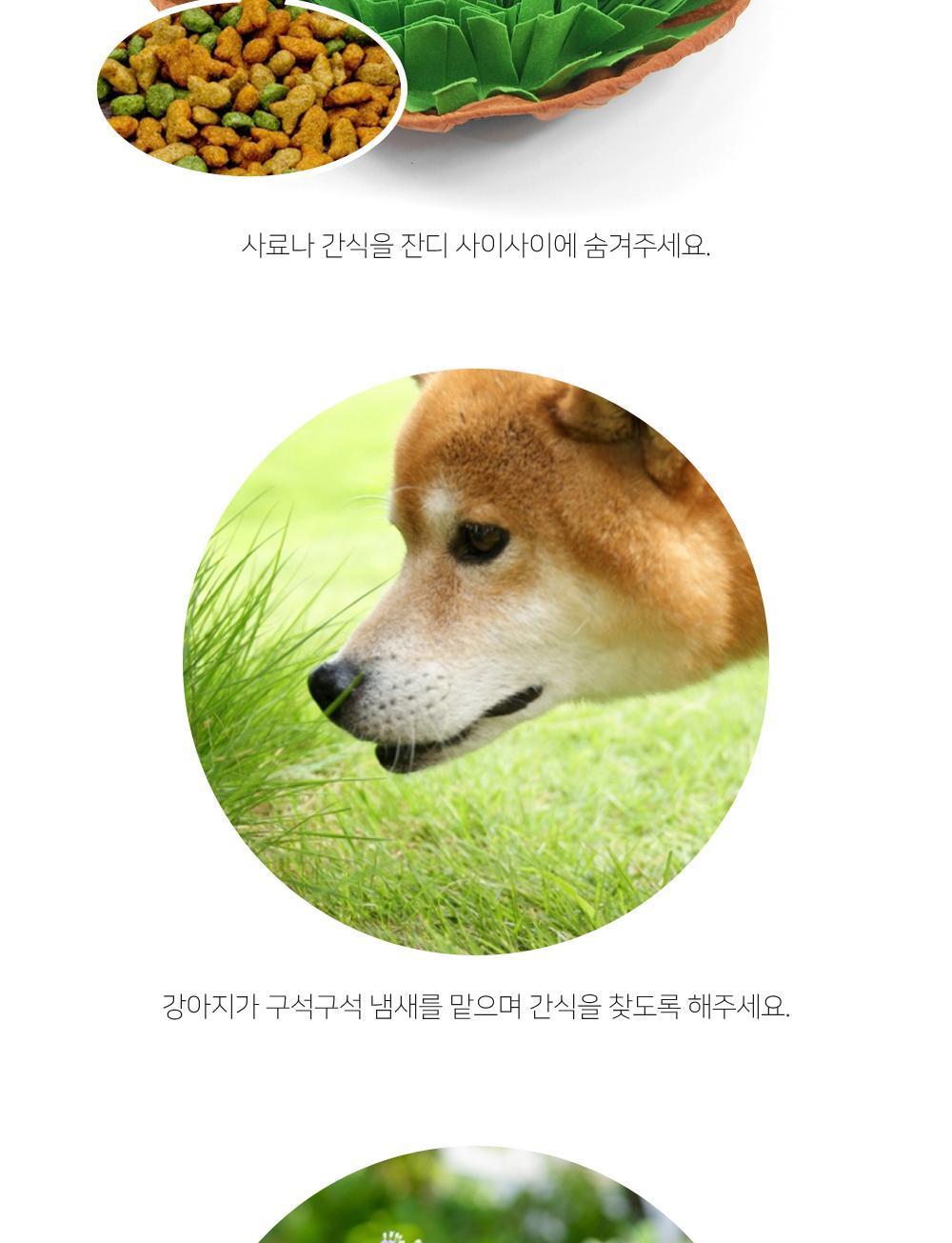 잔디 노즈워크 강아지장난감 강아지훈련용품 노즈워크 잔디노즈워크 반려동물장난감 반려견장난감 후각발달장난감 후각훈련장난감 반려동물훈련 강아지훈련