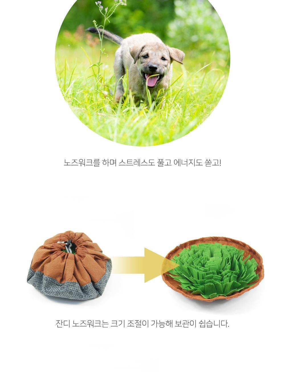잔디 노즈워크 강아지장난감 강아지훈련용품 노즈워크 잔디노즈워크 반려동물장난감 반려견장난감 후각발달장난감 후각훈련장난감 반려동물훈련 강아지훈련