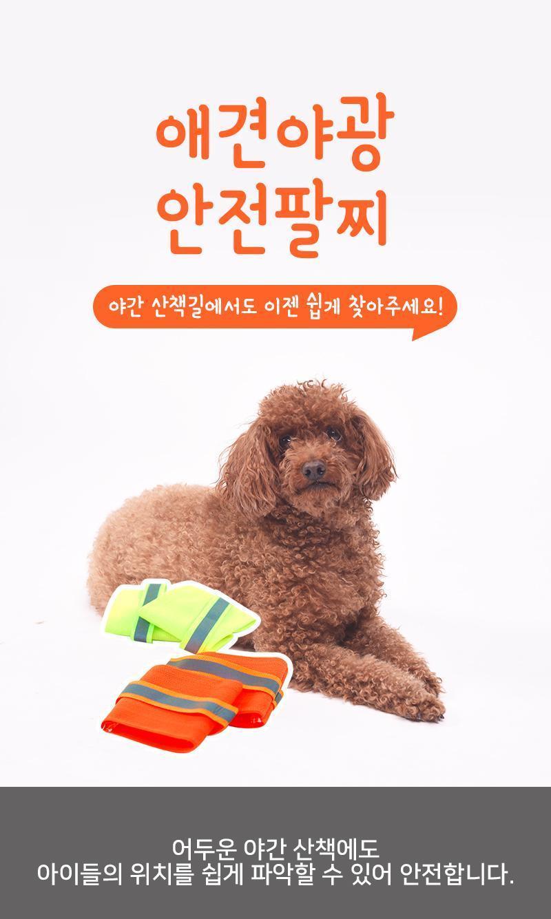 애견 야광 안전팔찌 애견팔찌 애견야광팔찌 안전팔찌 애견안전팔찌 야광안전팔찌 애견야광안전팔찌 강아지팔찌 강아지안전팔찌 강아지야광팔찌 강아지야광안전팔찌 반려견야광팔찌 반려견팔찌 반려견안전팔찌 반려견야광안전팔찌 반려동물팔찌 반려동물안전팔찌 반려동물야광안전팔찌 반려동물야광팔찌 애완견야광팔찌