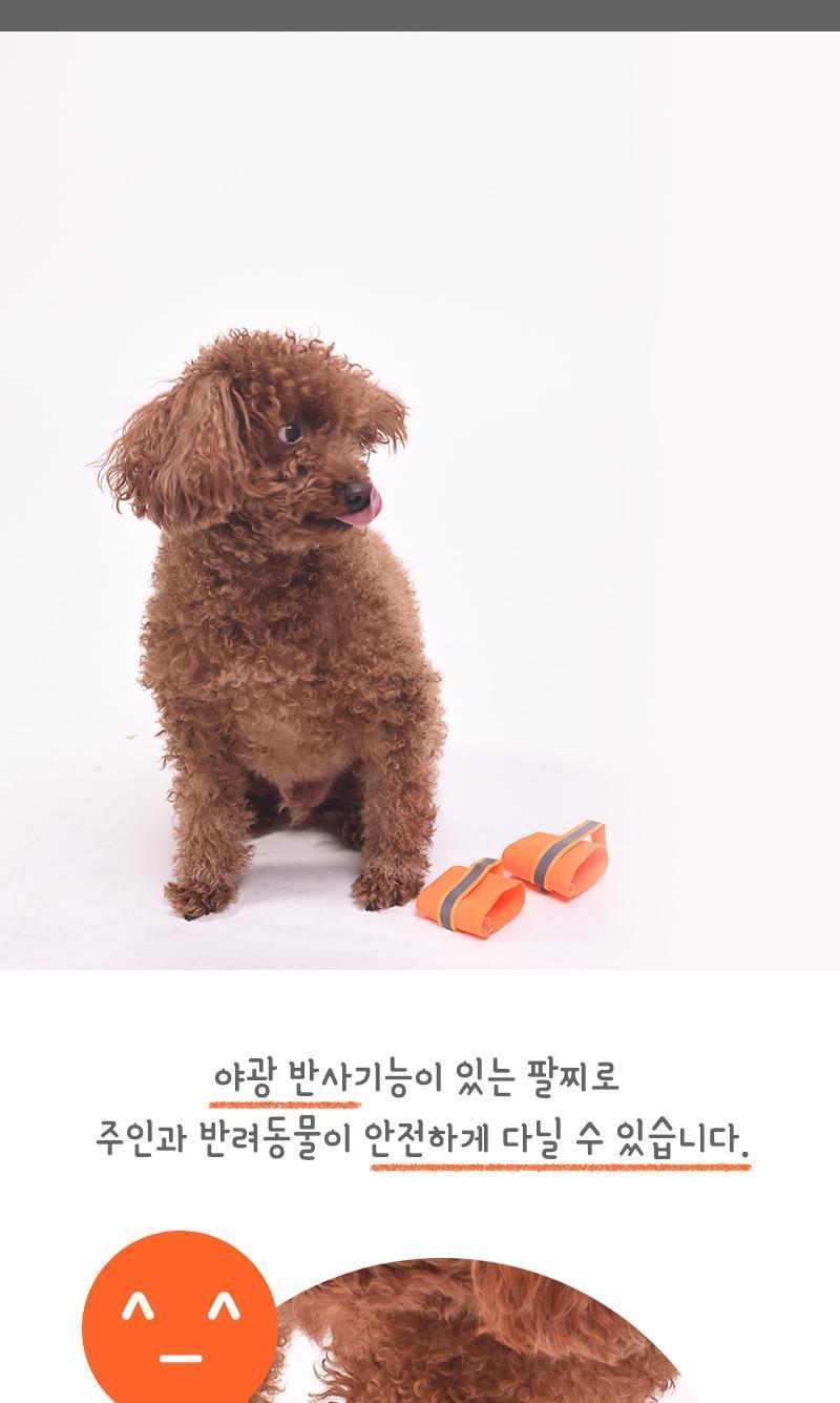 애견 야광 안전팔찌 애견팔찌 애견야광팔찌 안전팔찌 애견안전팔찌 야광안전팔찌 애견야광안전팔찌 강아지팔찌 강아지안전팔찌 강아지야광팔찌 강아지야광안전팔찌 반려견야광팔찌 반려견팔찌 반려견안전팔찌 반려견야광안전팔찌 반려동물팔찌 반려동물안전팔찌 반려동물야광안전팔찌 반려동물야광팔찌 애완견야광팔찌