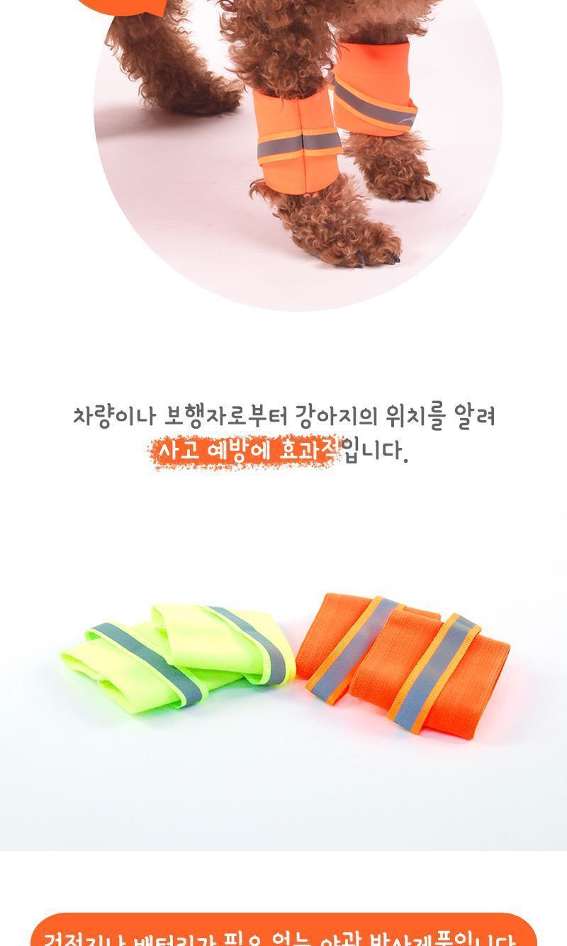 애견 야광 안전팔찌 애견팔찌 애견야광팔찌 안전팔찌 애견안전팔찌 야광안전팔찌 애견야광안전팔찌 강아지팔찌 강아지안전팔찌 강아지야광팔찌 강아지야광안전팔찌 반려견야광팔찌 반려견팔찌 반려견안전팔찌 반려견야광안전팔찌 반려동물팔찌 반려동물안전팔찌 반려동물야광안전팔찌 반려동물야광팔찌 애완견야광팔찌