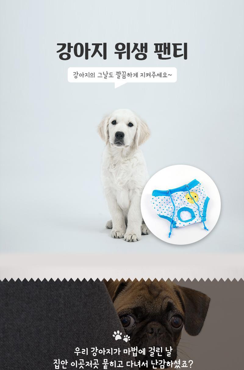 강아지 위생 팬티 강아지팬티 강아지기저귀 애견팬티 애견기저귀 반려견팬티 반려견기저귀 반려동물팬티 반려동물기저귀 애완견팬티 애완견기저귀 애완동물팬티 애완동물기저귀 반려견배변팬티 애완견배변팬티 애완동물배변팬티 애견매너팬티 애완견매너팬티 애완동물매너팬티 강아지매너팬티