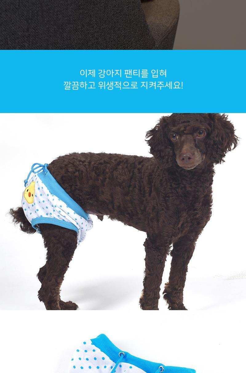 강아지 위생 팬티 강아지팬티 강아지기저귀 애견팬티 애견기저귀 반려견팬티 반려견기저귀 반려동물팬티 반려동물기저귀 애완견팬티 애완견기저귀 애완동물팬티 애완동물기저귀 반려견배변팬티 애완견배변팬티 애완동물배변팬티 애견매너팬티 애완견매너팬티 애완동물매너팬티 강아지매너팬티