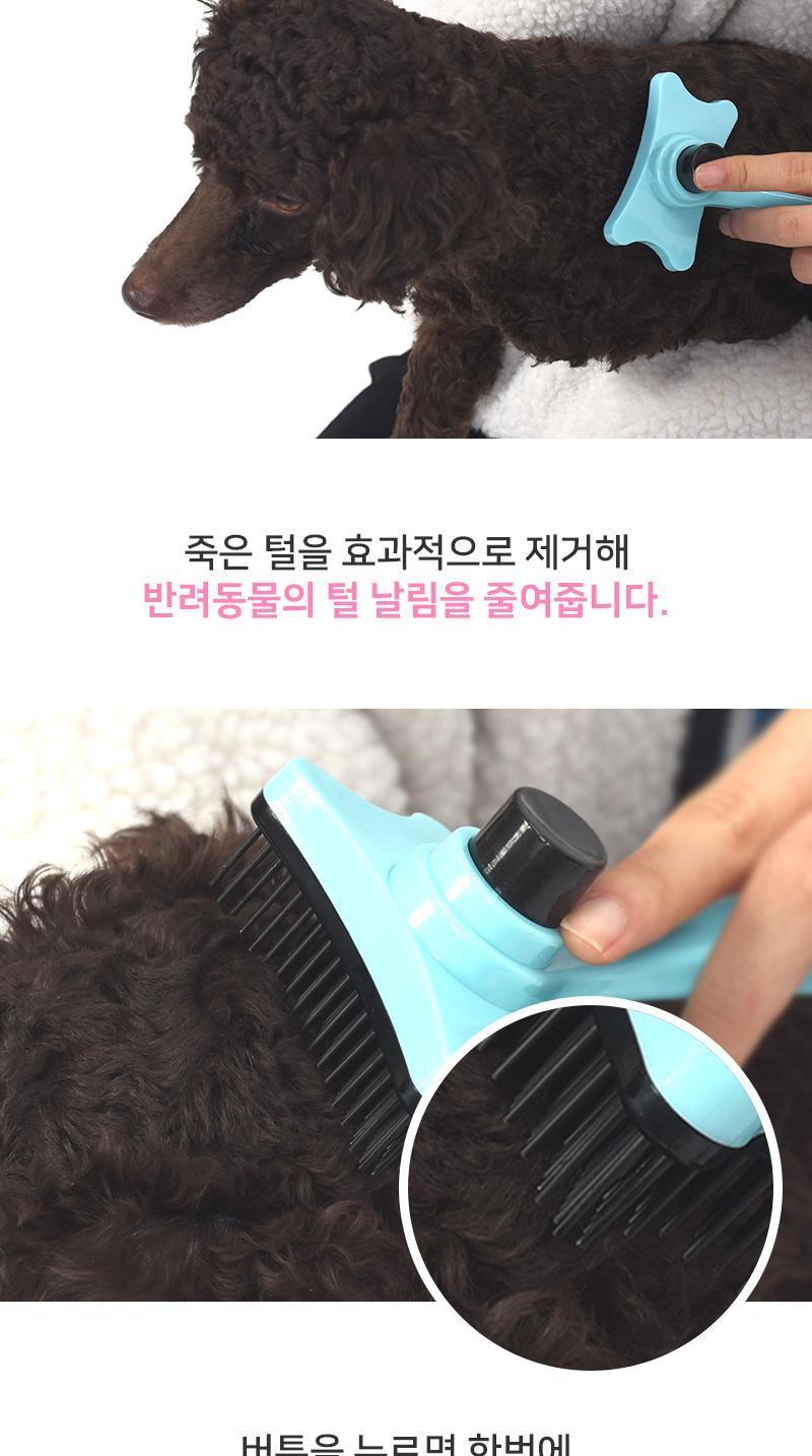 원터치 펫 브러시 브러시 브러쉬 펫브러시 펫브러쉬 애견브러시 애견브러쉬 강아지브러시 강아지브러쉬 빗 펫빗 애견빗 강아지빗 반려견빗 반려견브러시 반려견브러쉬 미용빗 애견미용빗 강아지미용빗 강아지미용브러시 강아지미용브러쉬 애견미용브러시 애견미용브러쉬