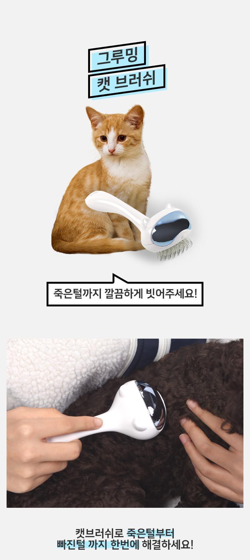 그루밍 캣 브러쉬 브러시 브러쉬 펫브러시 펫브러쉬 빗 펫빗 미용빗 미용브러시 미용브러쉬 고양이브러시 고양이브러쉬 고양이빗 캣브러시 캣브러쉬 캣빗 고양이미용 캣미용 고양이털관리 캣털관리