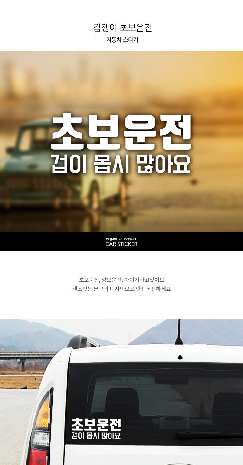 자동차스티커 겁쟁이 초보운전 스티커 차량스티커 차량용스티커 자동차스티커 자동차용스티커 차량꾸미기 자동차꾸미기 차량꾸미기스티커 자동차꾸미기스티커 차량인테리어 자동차인테리어