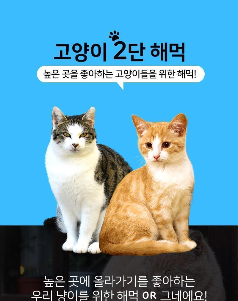 고양이 2단 해먹 고양이집 고양이방석 고양이해먹 고양이하우스 캣집 캣방석 캣해먹 캣하우스 해먹 2단해먹 2단고양이해먹 2단캣해먹 고양이그네 캣그네 걸이형해먹 걸이형방석 걸이형캣방석 걸이형고양이방석 반려묘해먹
