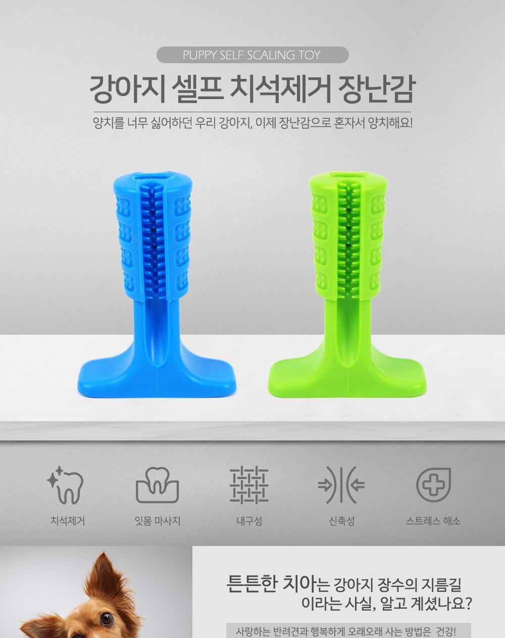 강아지 셀프 치석 제거 장난감 장난감 강아지장난감 치석장난감 치석제거 강아지치석제거 강아지입냄새제거 강아지용장난감 애견장난감 셀프치석제거장난감 강아지잇몸마사지