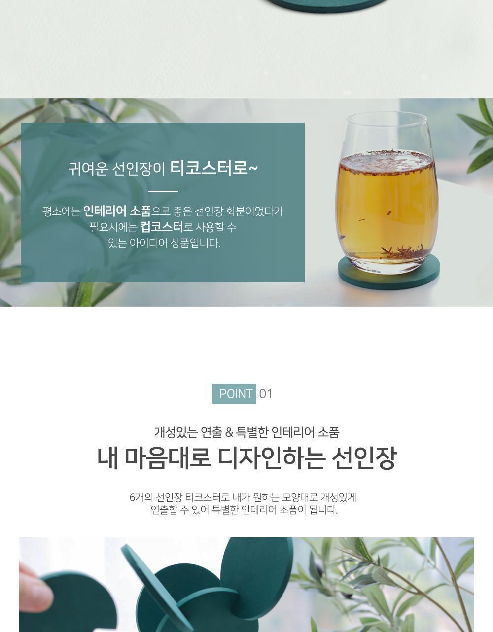 선인장 화분 티코스터 컵받침 컵받침대 컵홀더 코스터 귀여운코스터 선인장코스터 인테리어코스터 인테리어소품 플라스틱티코스터 다용도코스터
