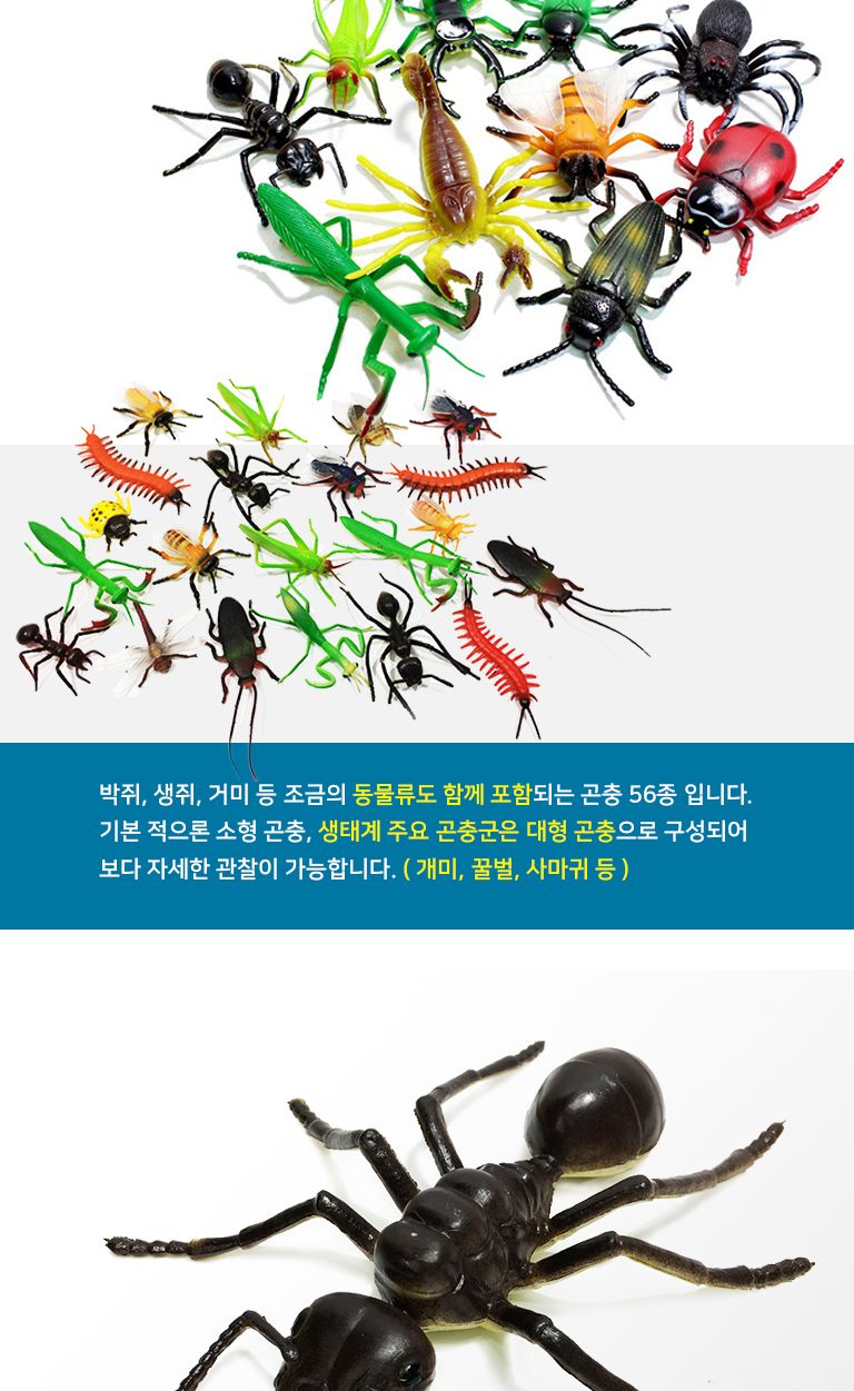 꼬마 소프트 곤충 모형 56종 세트/곤충/곤충장난감/장난감곤충/모형/모형완구/모형장난감/곤충모형/학습용