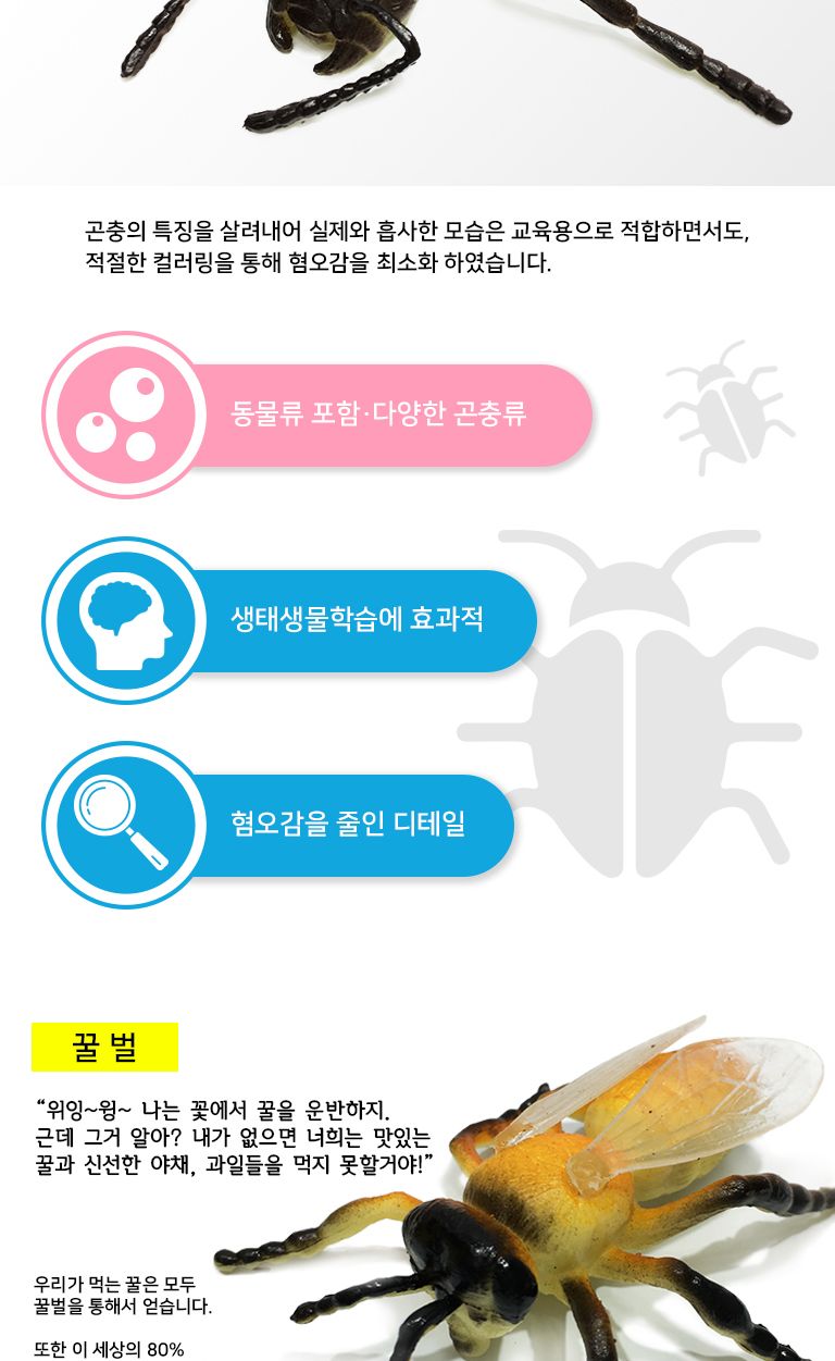 꼬마 소프트 곤충 모형 56종 세트/곤충/곤충장난감/장난감곤충/모형/모형완구/모형장난감/곤충모형/학습용