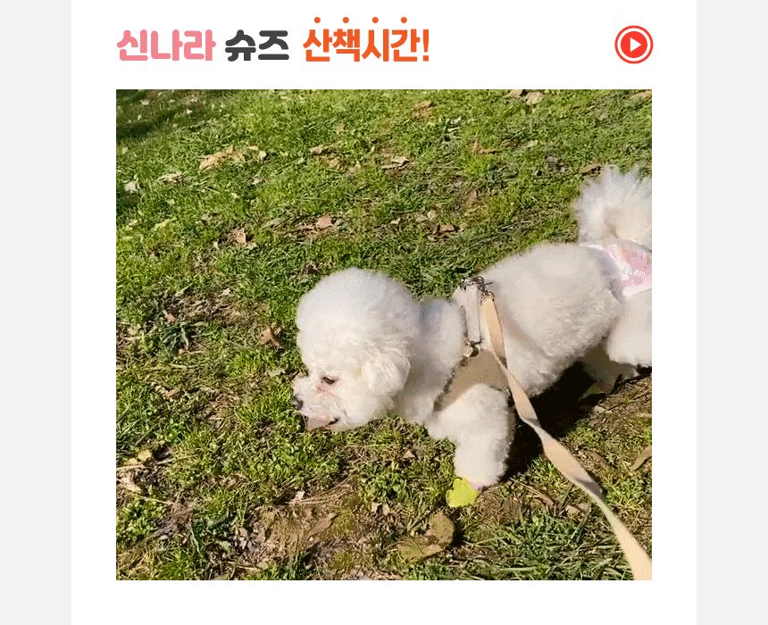 와우 신나라 일회용 강아지 슈즈 소형 80매