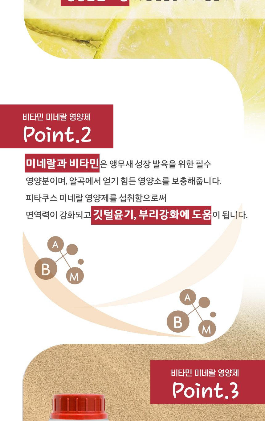 CO-6001 피타쿠스 뿌려먹는 영양제 100g/앵무새용품/영양/앵무새간식/앵무새보충/새사료/앵무새먹이/새모이
