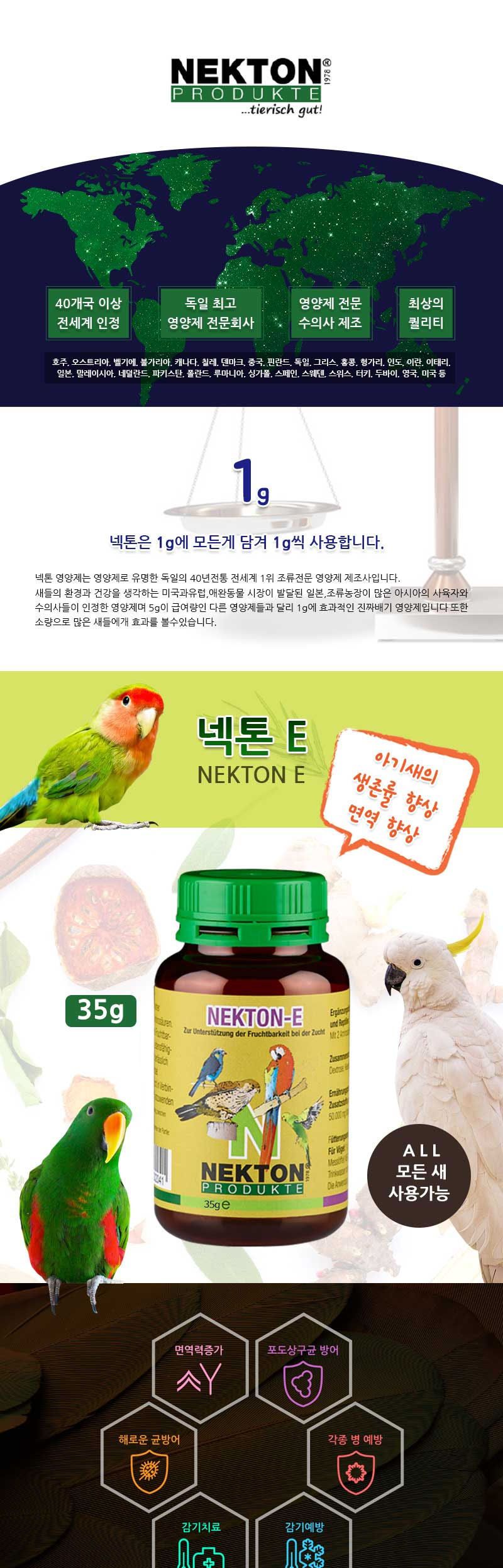 넥톤E 35g 세균바이러스 방어 (1개)