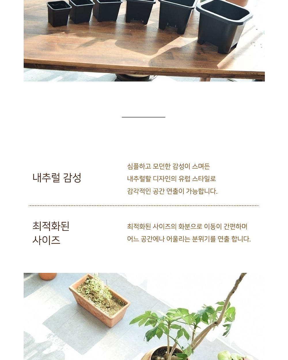 PP플라스틱 사각 모종 포트 화분 PS1 9x9cm | 홈플러스 판매자택배