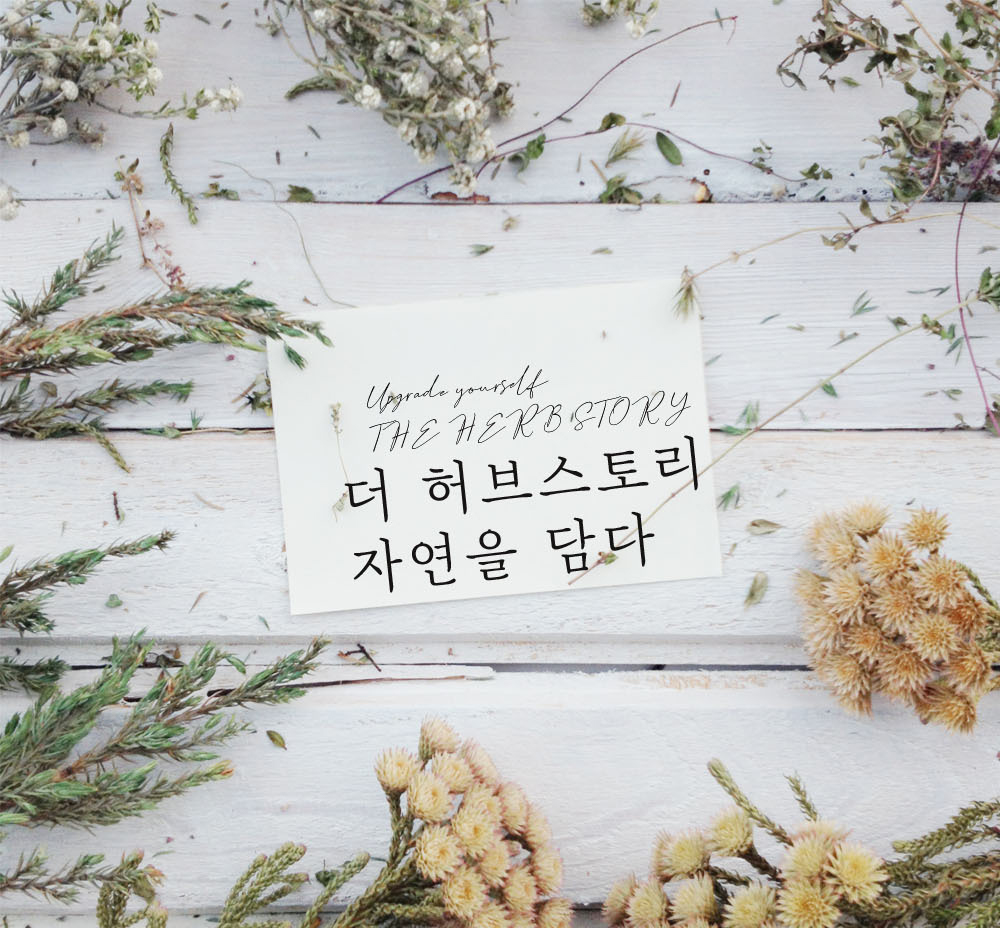 더허브스토리 아로마 에센셜오일 30ml 8종 숙면 수면/마사지오일/피부보습/테라피/향기좋은 