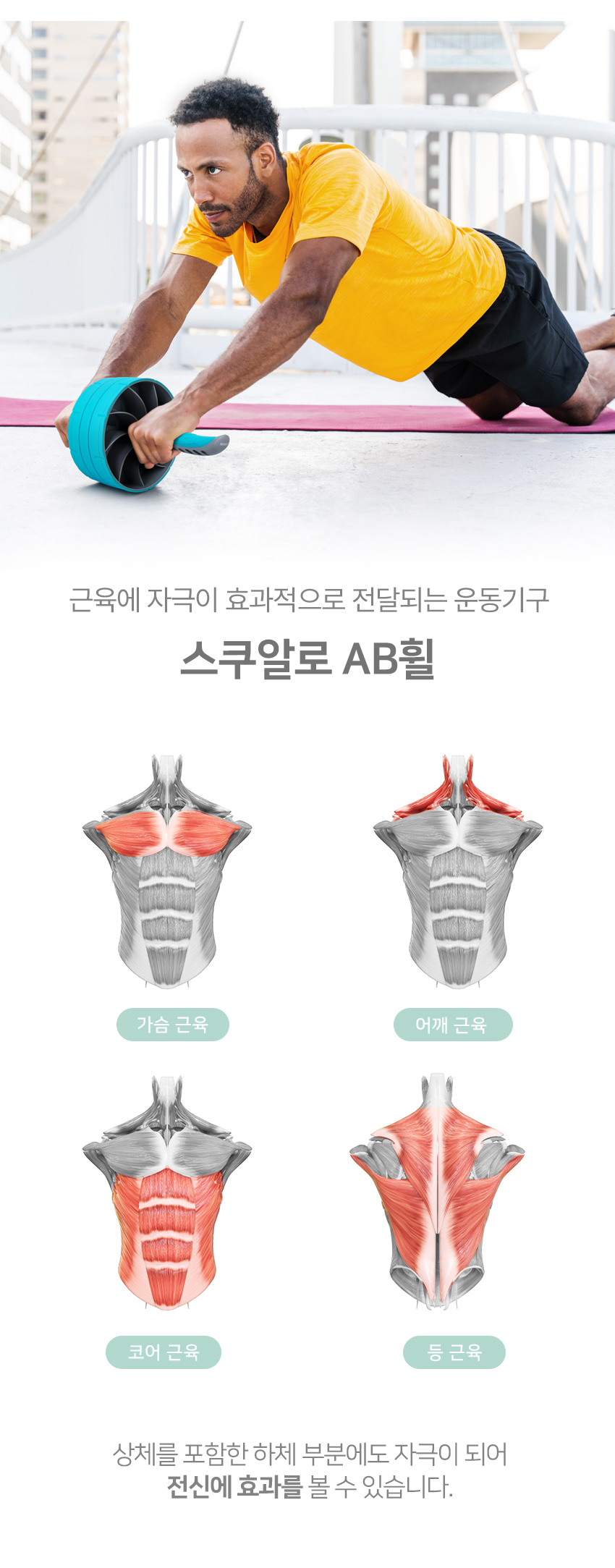 AB휠 코어 롤러아웃 운동 필수 무릎패드포함/기구/복근/전신/근력/가정용/홈트/홈트레이닝/AB/슬라이더 복근 복근운동 복근슬라이드 복부운동 근력운동 코어운동기구 홈트 홈트레이닝 AB슬라이드 복근운동기구 코어운동 허리운동